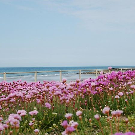 Salt Marsh Apartment Tywyn Buitenkant foto