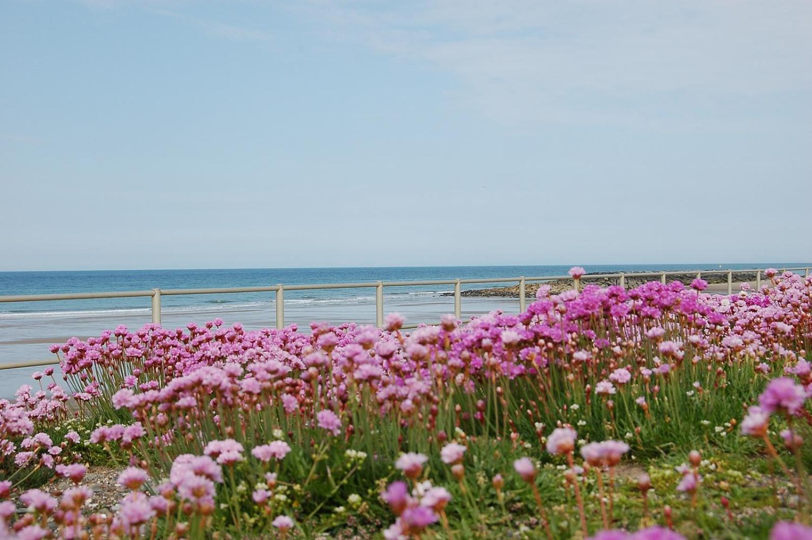 Salt Marsh Apartment Tywyn Buitenkant foto